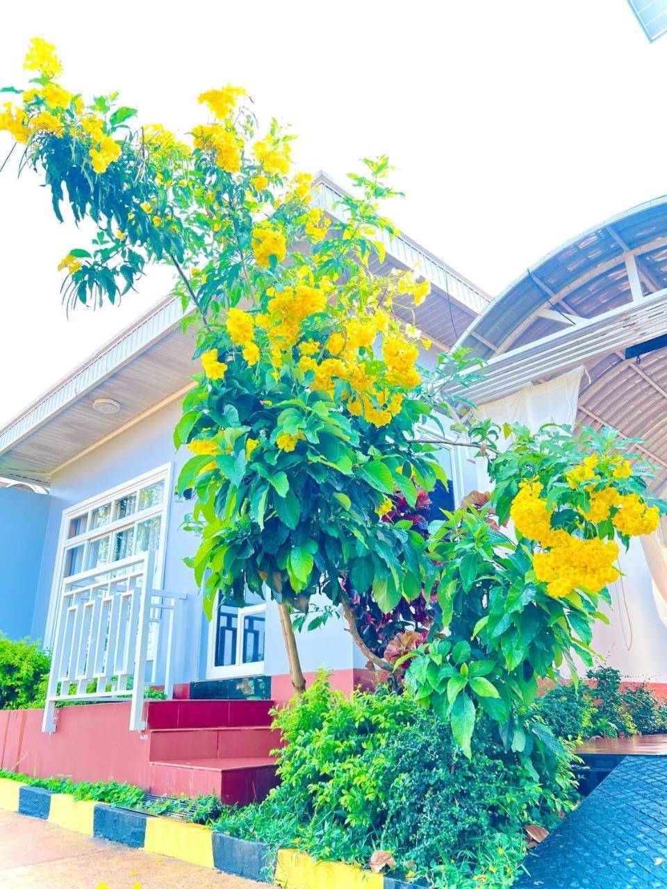 Chomkatae Bungalows Sen Monourom Luaran gambar